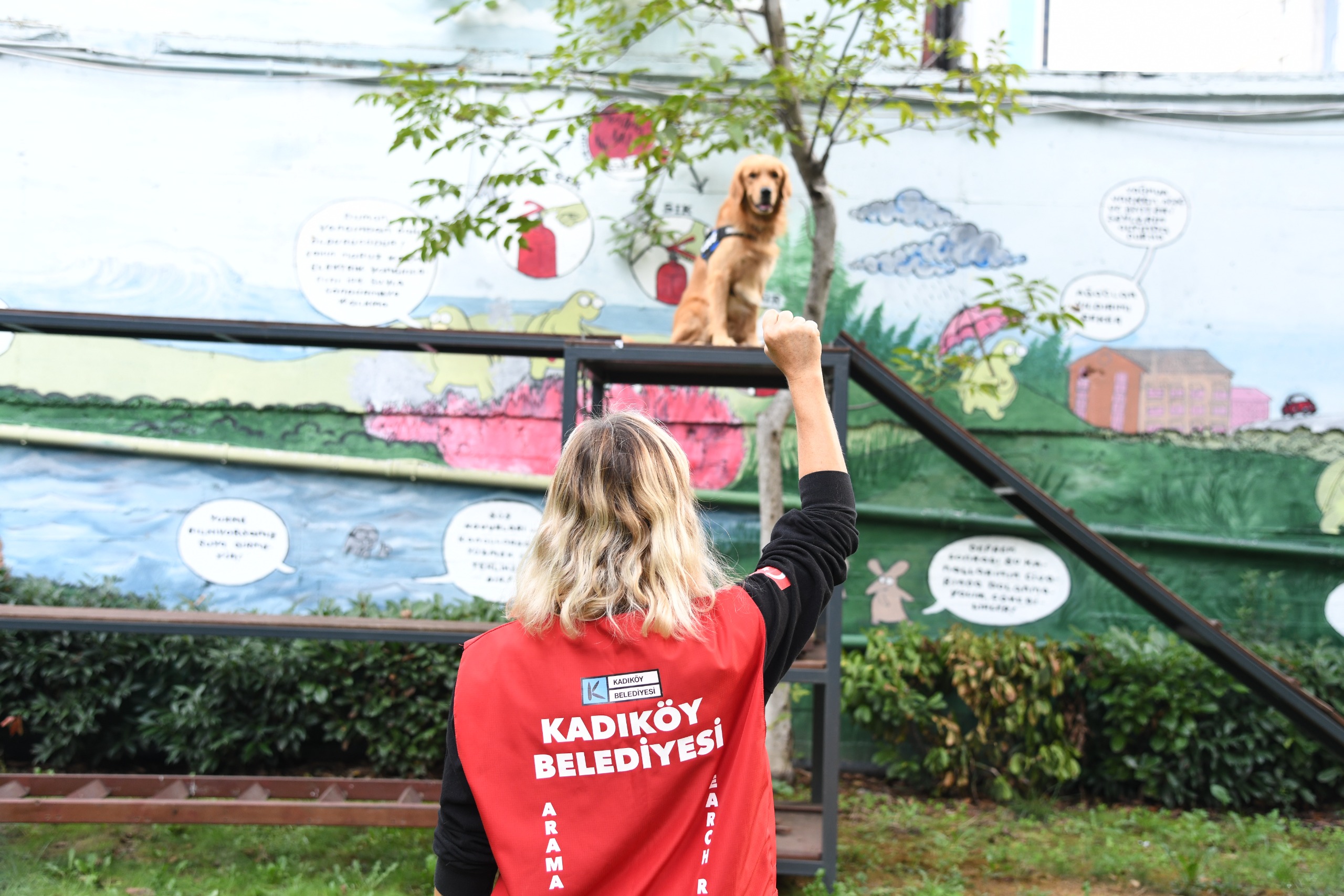 Arama Köpeği Coco, sertifikasını yeniledi 